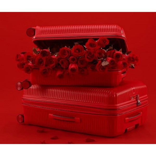 Βαλίτσα Μεσαία 67εκ Verage Rome VG19006-M Κόκκινο